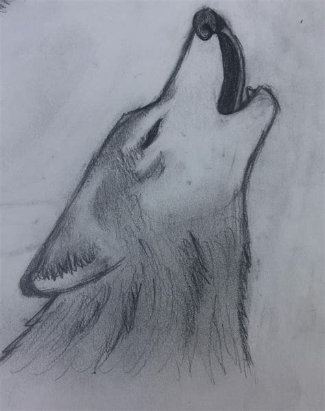 Once you have a good understanding of a wolf’s form and features, start sketching out the basic shape of the wolf. Begin with simple shapes like circles and triangles to lay out the position and proportions of the wolf’s body. Keep your lines loose and light. Step 3: Add Details and Texture.